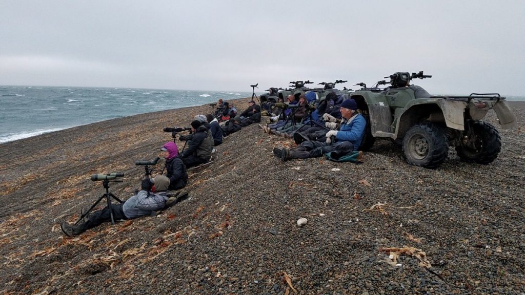 Sea watch at Gambell. Note the All-terrain vehicles. / Photo by Anne Hoff