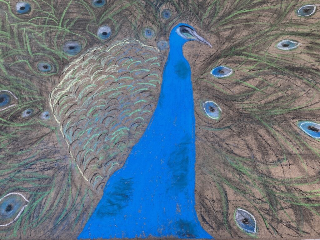 Chal kart peacock