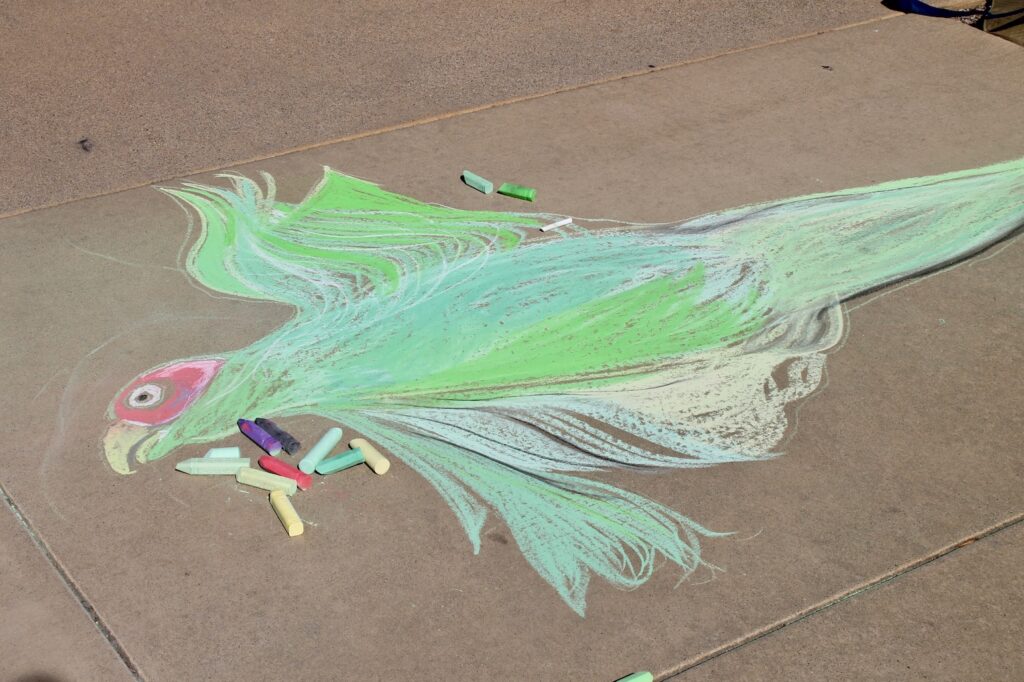Chalk art parrot