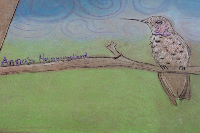 Hummingbird chalk art