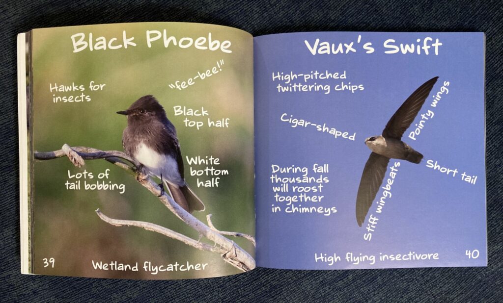 Pages from Neighborhood Birding 101