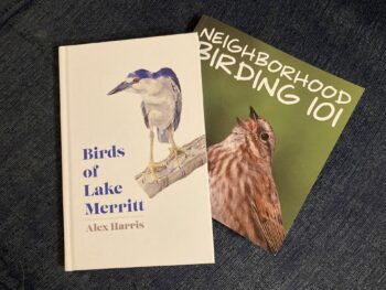 Two new bird guides