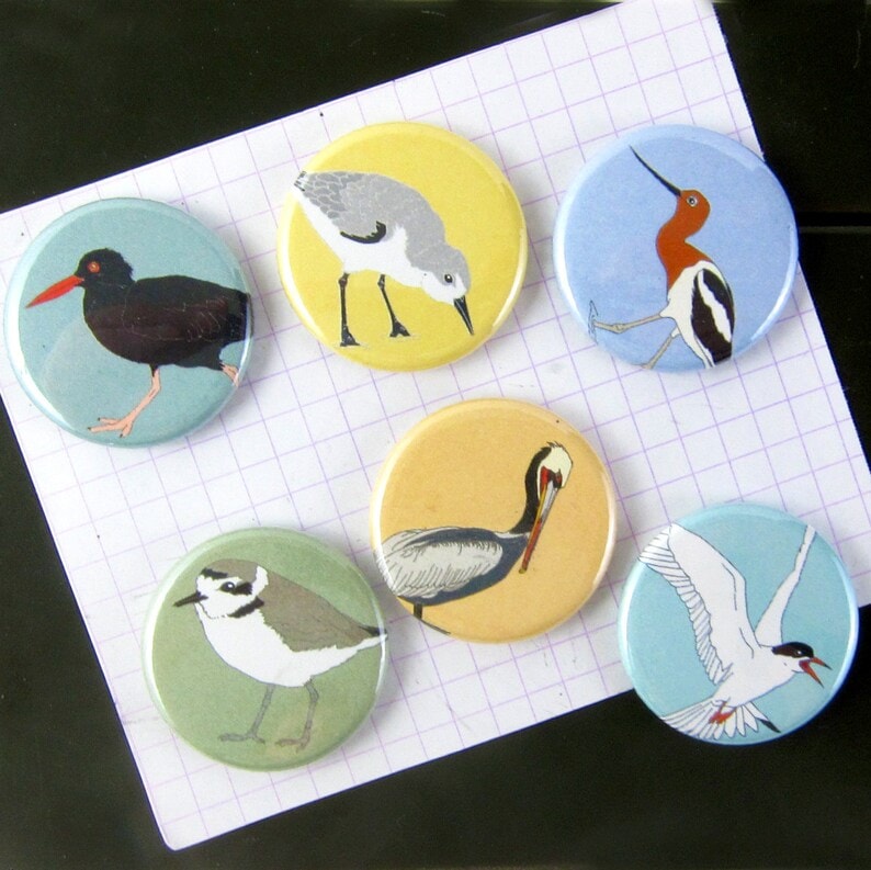 Six shorebird magnets