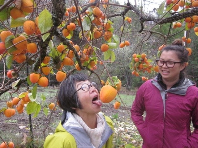 Bonnie Ng exploring another aspect of nature with her daughter, who was one of her Birdathon donors