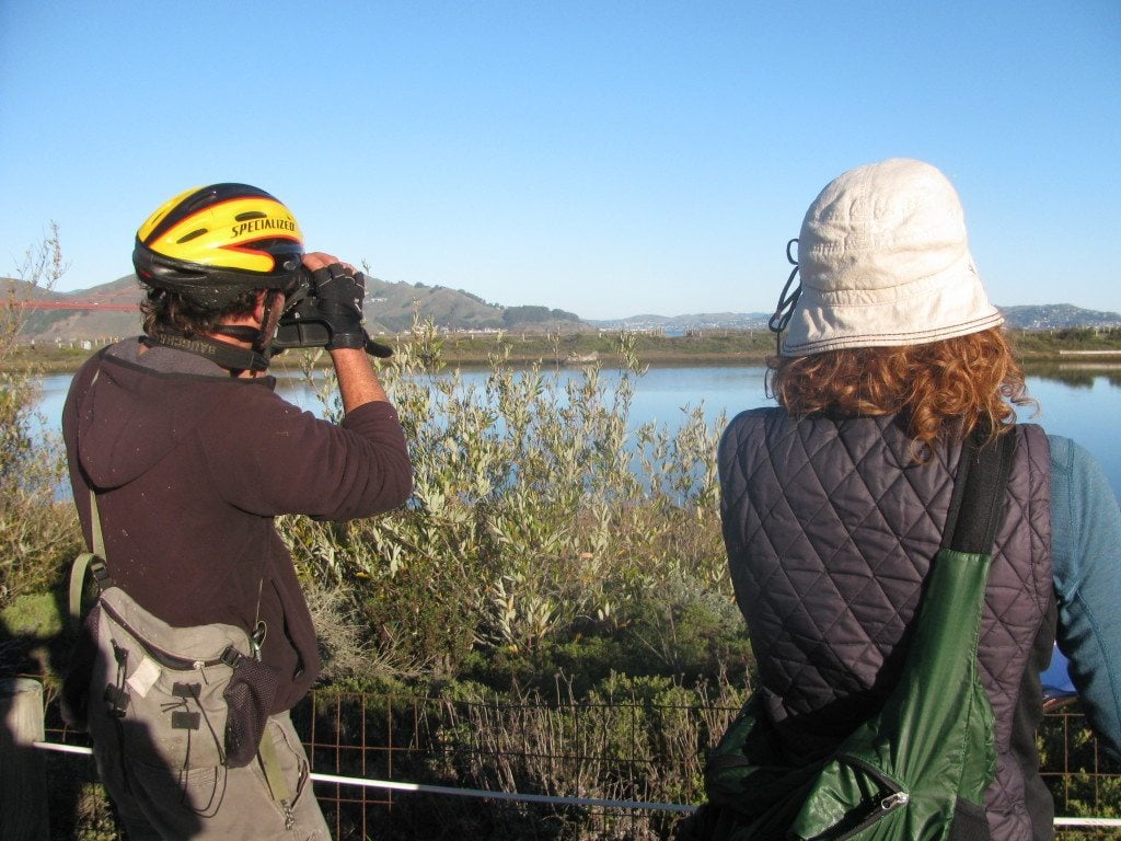Birding at Crissy Lagoon in the Presidio