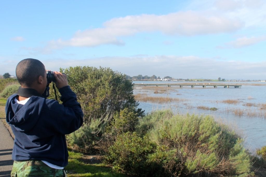 Young birder at MLK Shoreline during a joint Golden Gate Audubon / Outdoor Afro event / Photo by Ilana DeBare