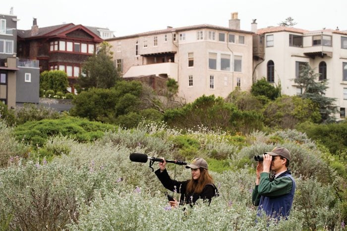 Biologists David Luther and Kate Gentry record white-crowned sparrow songs and calls at the Lobos Creek dunes in the Presidio. Photo: Sebastian Kennerknech.