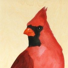 Northern Cardinal by Maggie Hurley